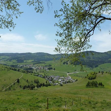 Wohnpark Schwarzwaldblick Bernau Διαμέρισμα Εξωτερικό φωτογραφία