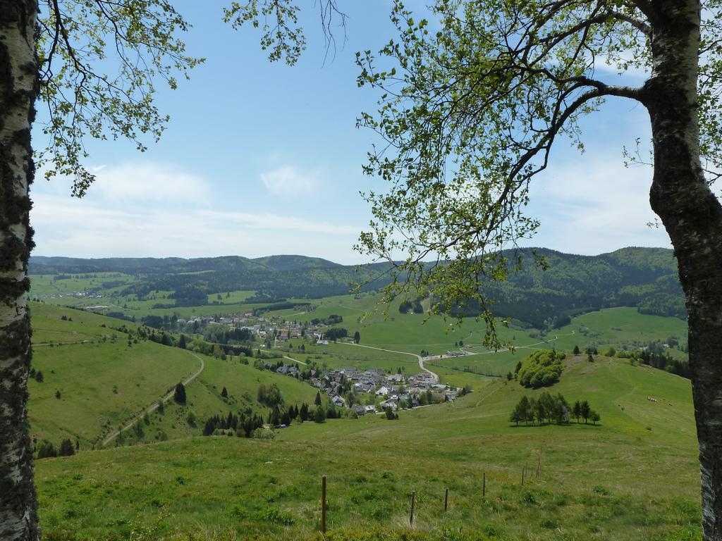 Wohnpark Schwarzwaldblick Bernau Διαμέρισμα Εξωτερικό φωτογραφία